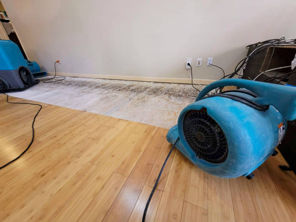Professional Basement Flood Cleanup technician working in Mountain Home, ID